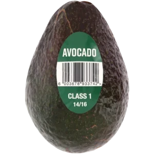 Medium Avocado